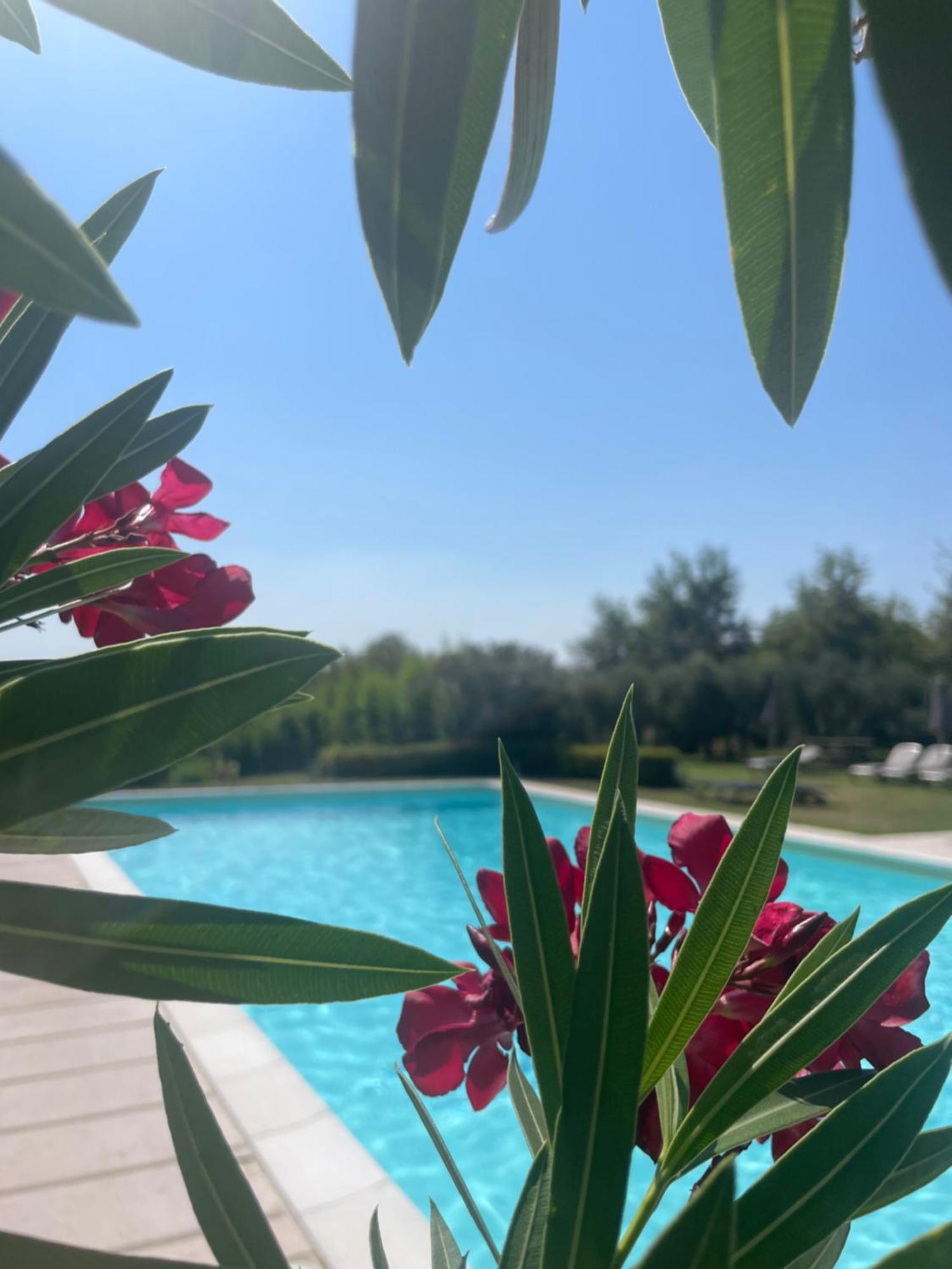 Agriturismo Antica Dimora Del Turco Сона Екстер'єр фото